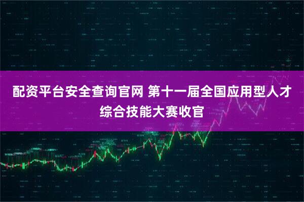 配资平台安全查询官网 第十一届全国应用型人才综合技能大赛收官